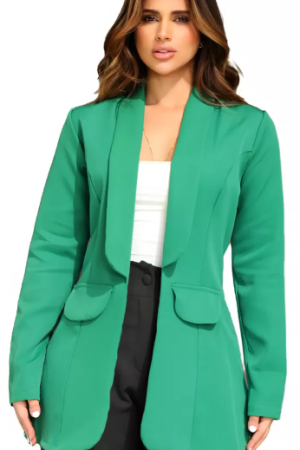 Calça Alfaiataria e Blazer Moda Feminina Social